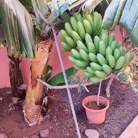 Casita La Gomera Сан-Себастьян-де-ла-Гомера Екстер'єр фото