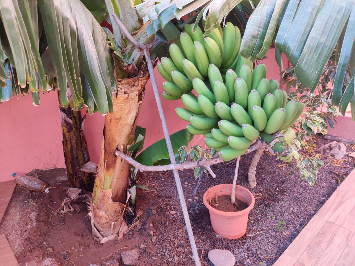 Casita La Gomera Сан-Себастьян-де-ла-Гомера Екстер'єр фото